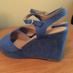 Pretty Blue Wedges